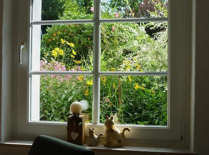 Landart * Ольпе